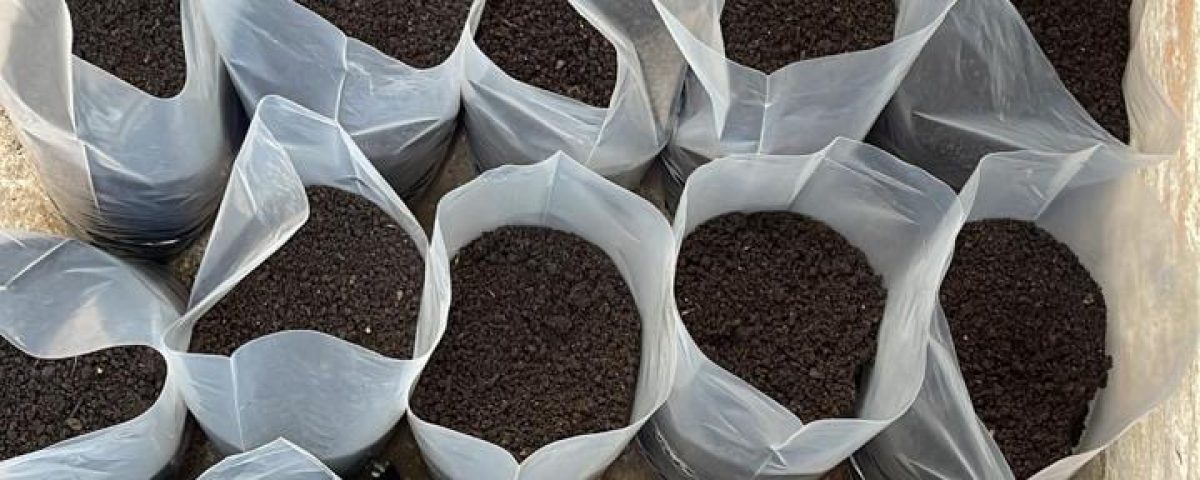 14b097fb-e49e-477b-a755-784329720488 Shade Grown Coffee, sustainably turned to compost.